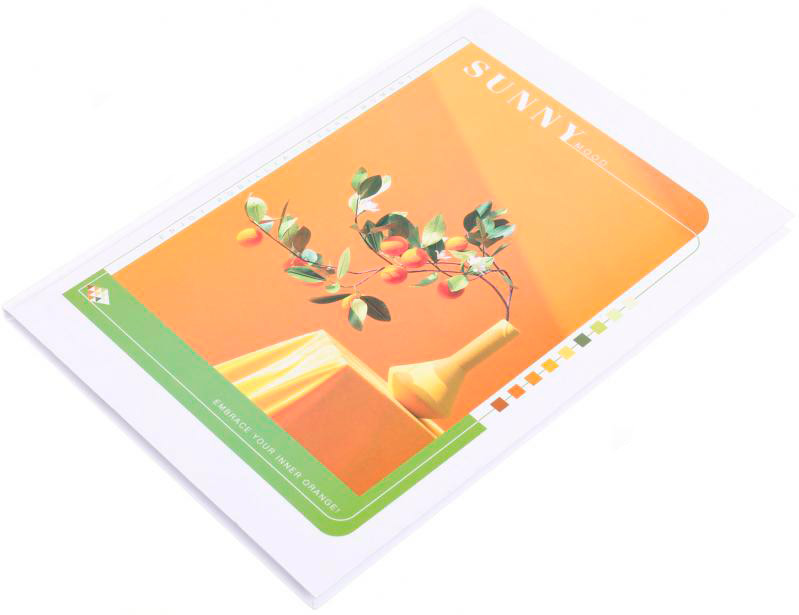 Блокнот А4 80 аркушів в асортименті Поділля