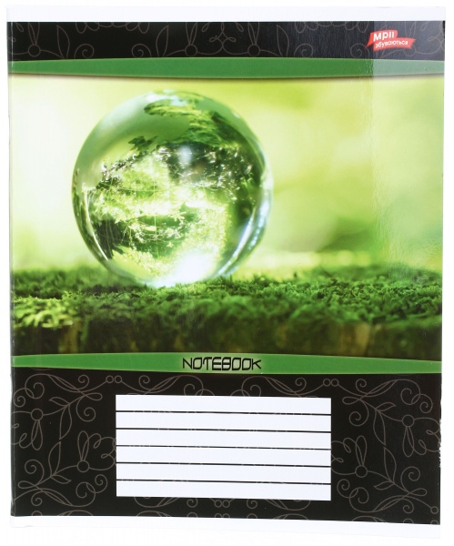 Тетрадь школьная уф-лак 48 листов в клеточку в ассортименте Мечты сбываются