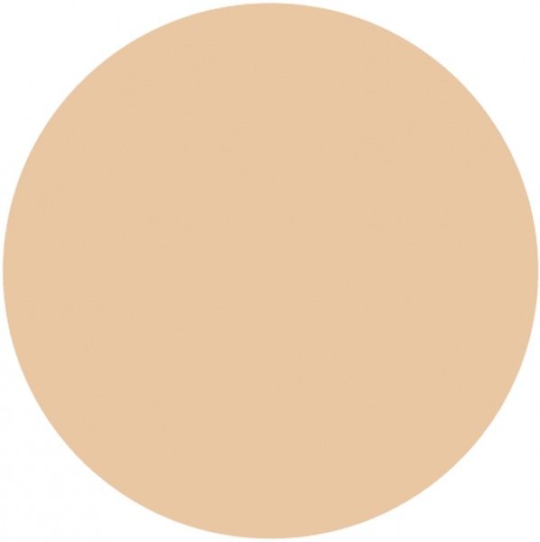 Пудра для лица L'Oreal Paris Alliance Perfect D5 9 г