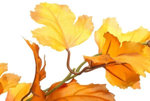 Гілочка декоративна Клен 74 см жовта