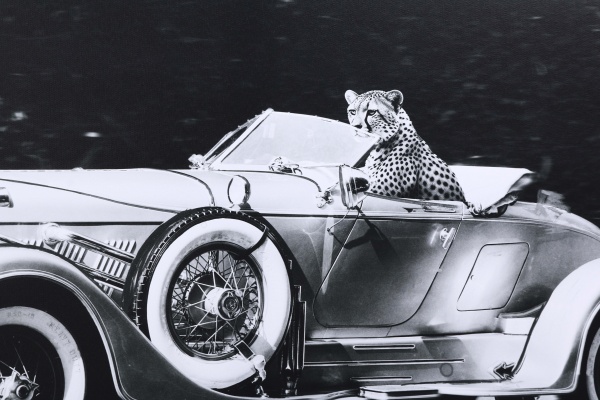 Картина Гепард 100x70 см Styler CA-18499 