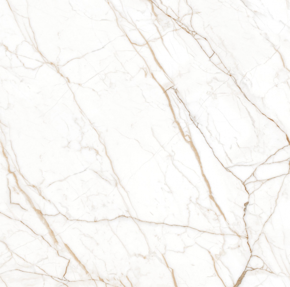 Плитка Allore Group Stonic Gold F P R Mat 60х60 см