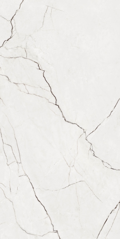 Плитка Allore Group Eleganza White F P R Full Lappato 60х120 см