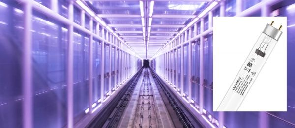 Лампа бактерицидная Ledvance T8 15 Вт G13 с УФ-С излучением