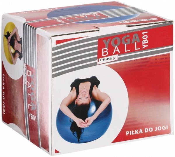 Фитбол HMS YB01 d55 