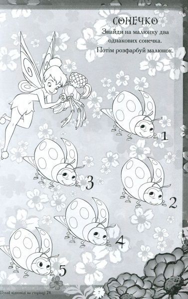 Книга «Феї. Книжка-розвивайка (+ наліпки)» 9789669433459