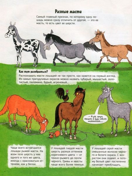 Книга «Книга Коні.Про що говорять тварини.»