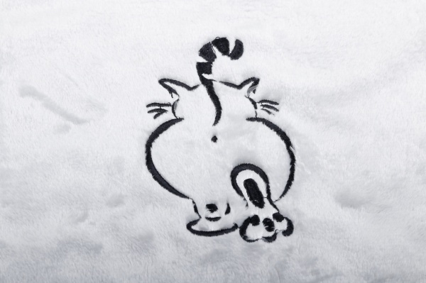 Пижама женская La Nuit Cat р. XL серый 