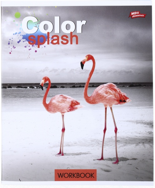 Тетрадь школьная 96 листов в клеточку в ассортименте Мечты сбываются