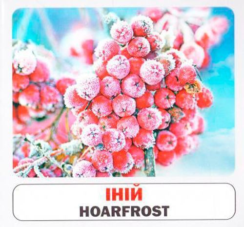 Книга «Навчальний посібник. Природні явища. англ-укр»