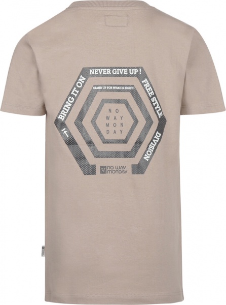 Футболка для хлопчиків NWM р.152 темно-пісочний T46191-1 