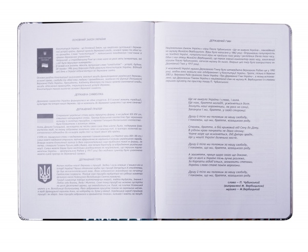 Щоденник шкільний Eyes В5 48 арк. ZB.13217-26 ZiBi