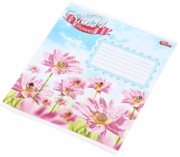 Зошит шкільний з глітером 12 аркушів у лінійку в асортименті Мрії збуваються