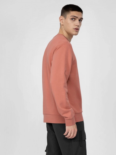 Свитшот 4F H4L22-BLM023-65S р. 2XL бежевый