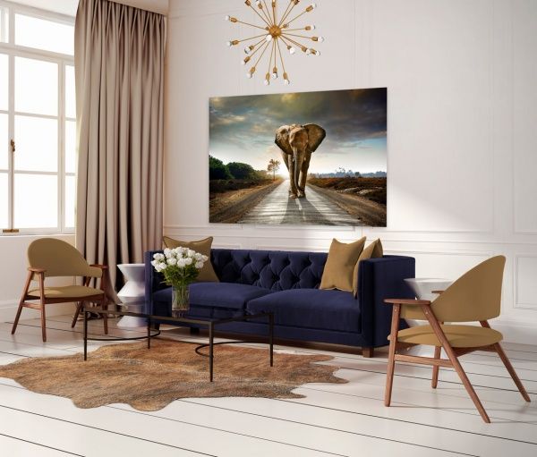 Картина на стекле Слон в дороге 120x80 см Styler 