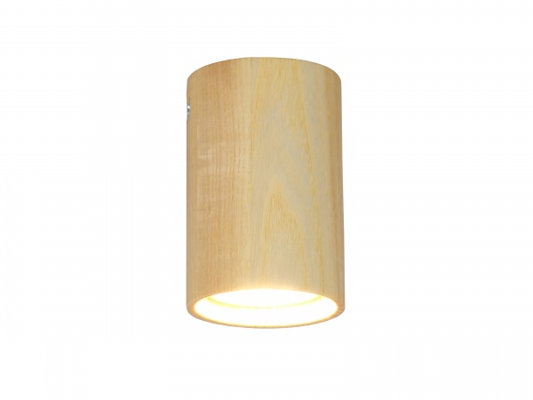 Спот Iterna Leirvik C GU10 1x15Вт GU10 LW088