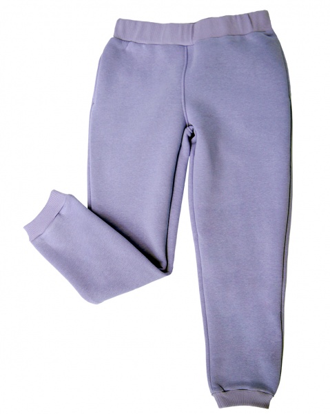 Штаны детские WP Merchandise р.140 сиреневый FWPPANTSCH22LL140 