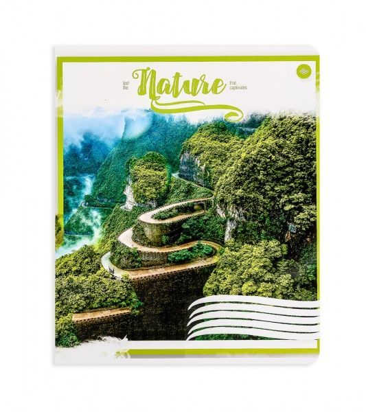 Комплект тетрадей Атмосферная природа 24 листа в клетку 20 шт. Поділля