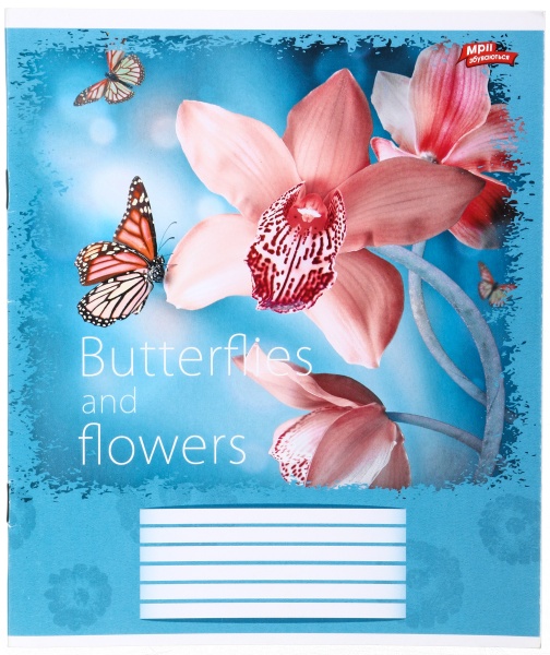 Тетрадь школьная 18 листов в линейку в ассортименте Мечты сбываются