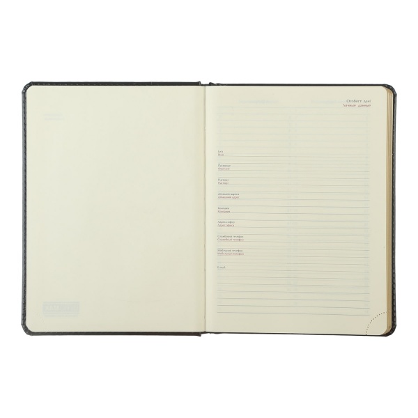 Дневник недатированный GALAXY зеленый Buromax A5 2023