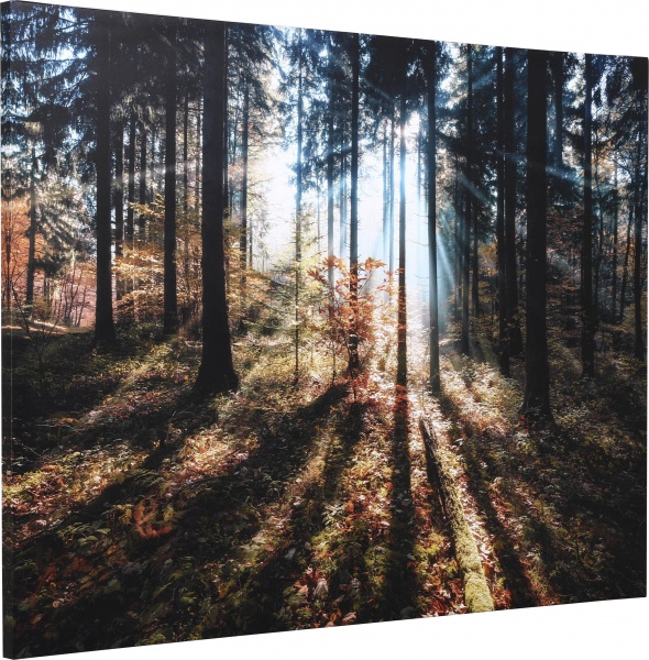 Картина Осенний лес 85x113 см Styler CA-13982 