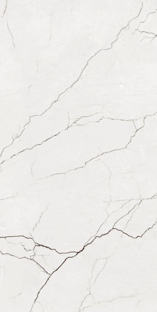 Плитка Allore Group Eleganza White F P R Somat 60x120 см