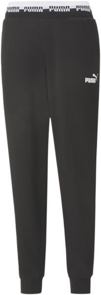 Штани Puma AMPLIFIED Pants 58591601 р. L чорний