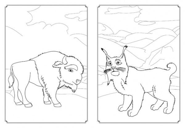 Раскраска «Всесвіт Мавки» 9-789-667-513-252