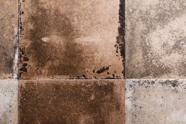 Плитка El Molino Савой Куеро 58x58 