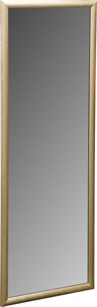 Зеркало ЭЗ-00272 45х125 см 