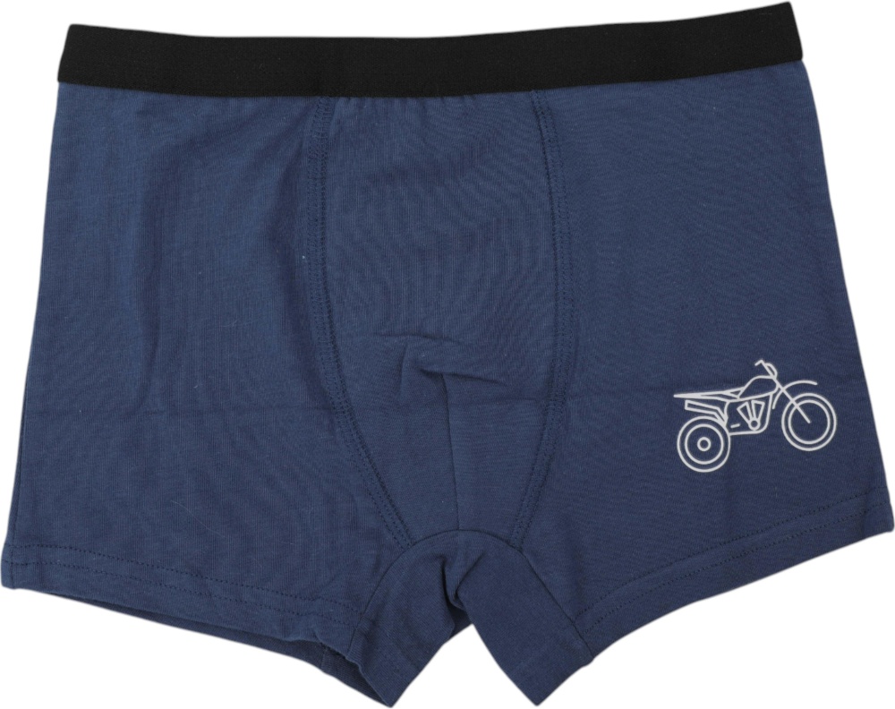 Набор трусов для мальчиков HW 3 пары боксеры р.158-164 голубой с синим N6-O6