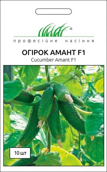 Семена Професійне насіння огурец самоопыляемый Амант F1 10 шт.