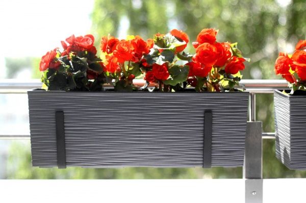 Горщик для квітів Lamela Бегонія долото прямокутний 37,7л графіт 