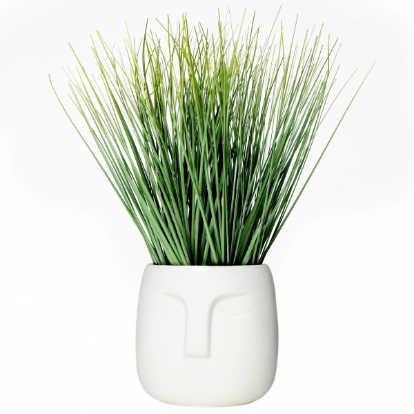 Растение декоративное в горшке зеленое 32 см 190836