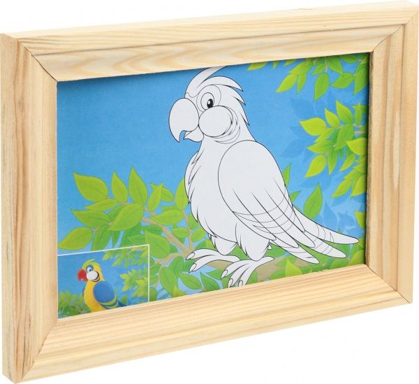 Набор для творчества Пластилиновый художник Попугай Softik