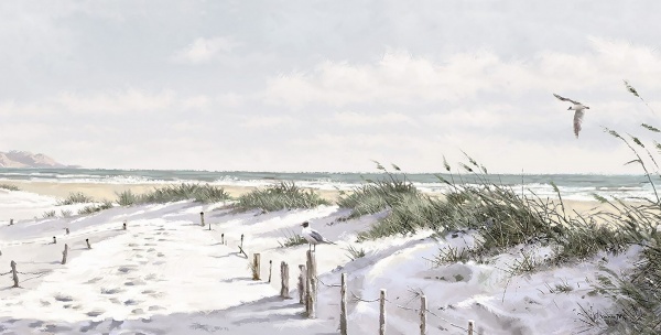 Репродукція Чайки на березі Маклейн 50x100 см Арт Фемелі 