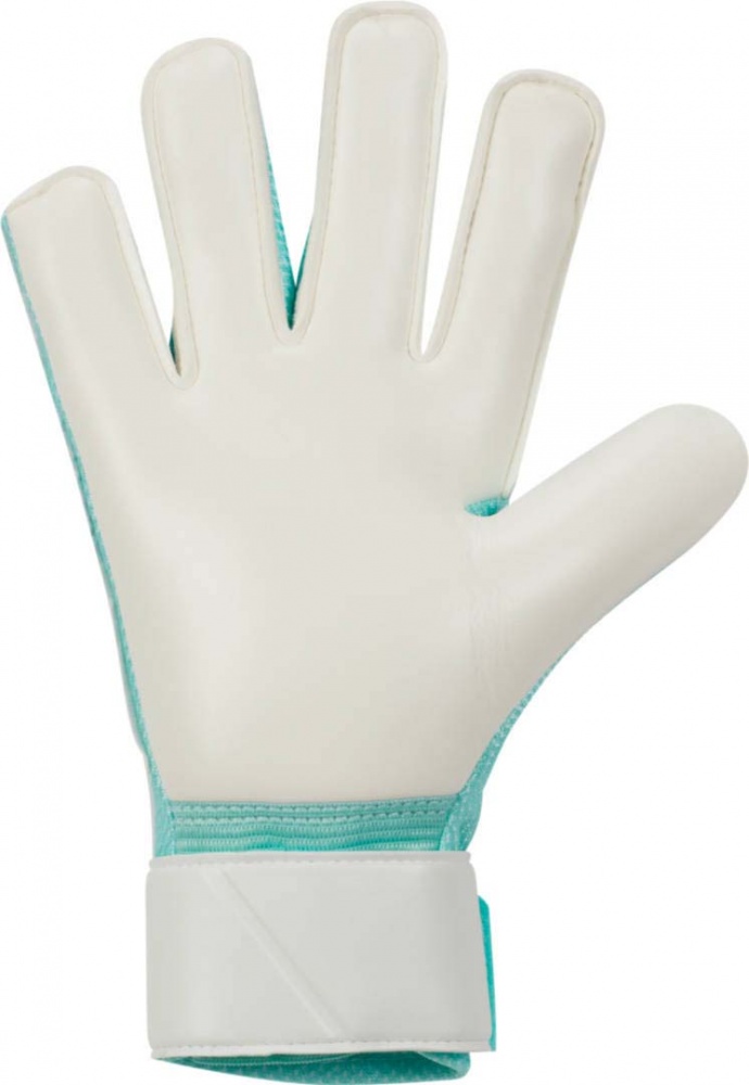 Вратарские перчатки Nike MATCH FJ4862-010 9 черный