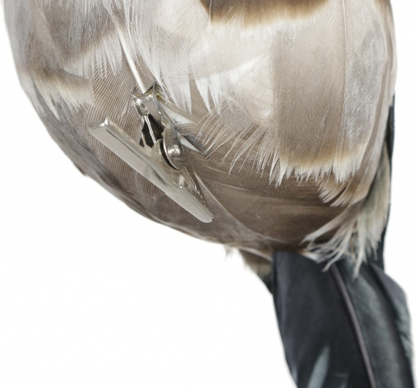 Фигурка декоративная на клипсе Птички 16х6,5х7 см HC4503230