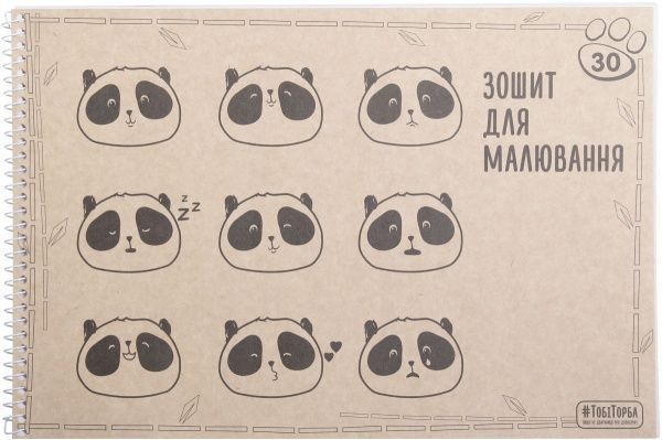 Тетрадь для рисования ЕКО 2 А4 30 листов Мечты сбываются