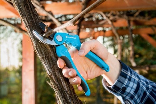 Секатор контактний Cellfast Ideal (40-415) 