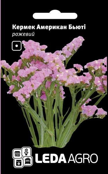 Насіння LedaAgro кермек Американ Бьюті рожевий 0,15 г (4820119793602)
