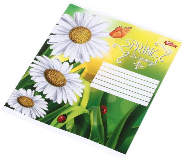 Тетрадь школьная с глитером 18 листов в линейку в ассортименте Мечты сбываются