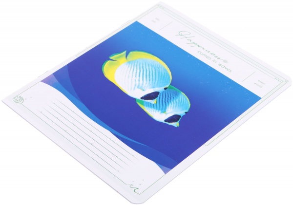 Тетрадь школьная Tadward коса