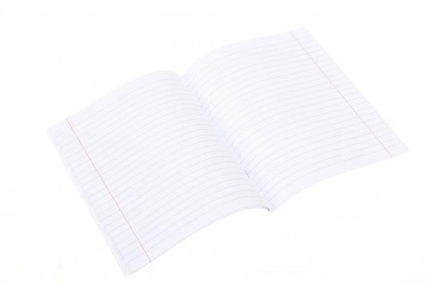 Тетрадь школьная Нимфа 24 листов линия Nota Bene