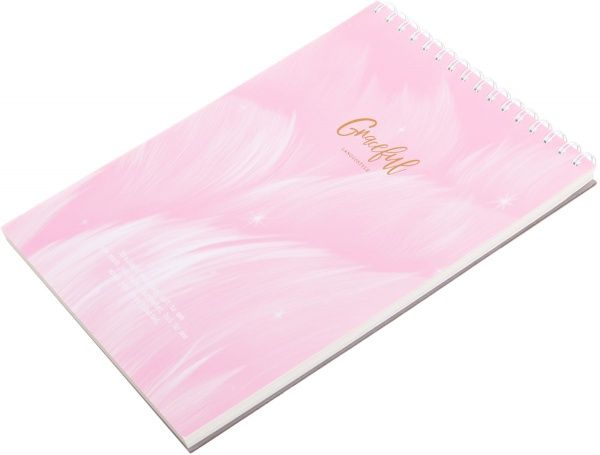 Книга для нотаток рожева Пір'я, 80 стр.