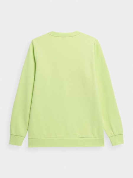 Світшот 4F WOSWEATSHIRT BLD020 H4Z22-BLD020-45S р. XS світло-зелений