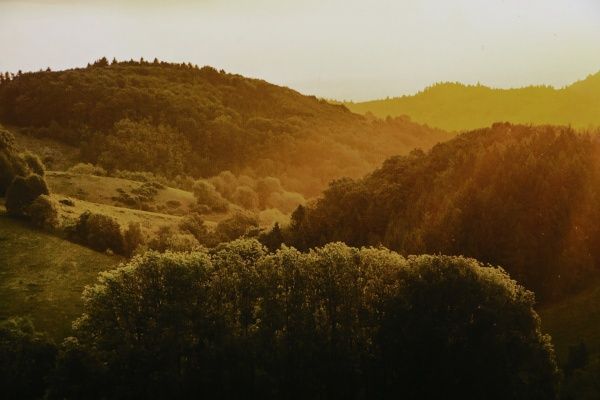 Репродукция Пейзаж Панорамный закат 96x48 см 