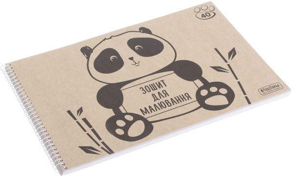 Тетрадь для рисования ЕКО 2 А4 40 листов Мечты сбываются