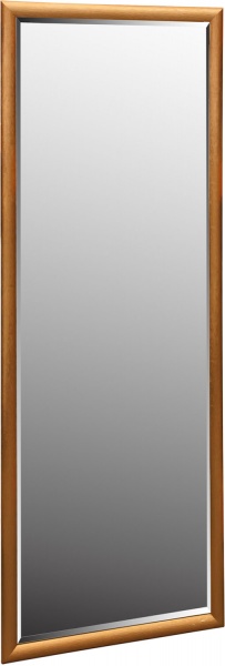 Зеркало ЭЗ-00276 46х126 см 