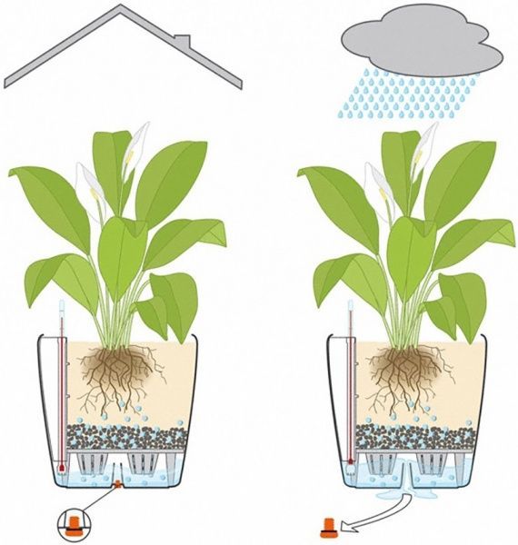 Вазон пластиковий Lechuza Classico Premium LS 28 круглий 19,9л кавовий (16041) 